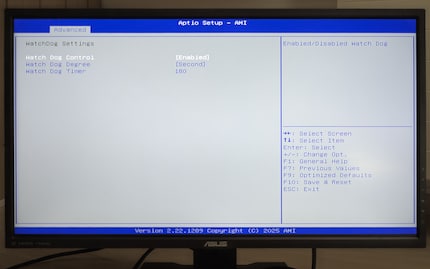 Vous devez désactiver Watch Dog dans le BIOS avant d'installer un autre OS. Si vous ne le faites pas, le NAS redémarrera au bout de trois minutes sans UGOS Pro.