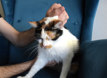 Not about to freeze: Joy frees herself from the neck grip in a matter of seconds.