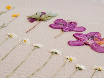 Disposez correctement les fleurs pour avoir une vue d’ensemble des différentes couleurs et formes.