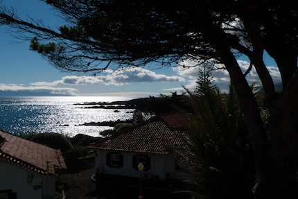 Backlit shot using the default settings in Lightroom