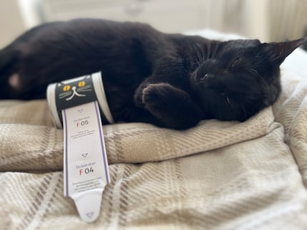 Will I find out anything new about my little panther thanks to these curious facts?