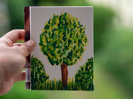 I know exactly where this tree was.