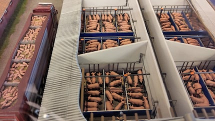 Factory farming on a 1:87 scale as part of a special exhibition that also depicts critical scenes.