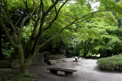 Les espaces vides et ouverts, comme sur le site «Fuji», sont la base du jardin japonais.