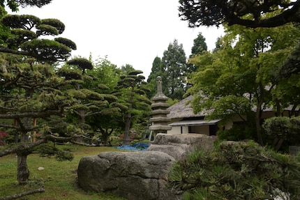 Vert dans le vert dans le vert : Dans le jardin japonais, tout est harmonieux en termes de couleurs.