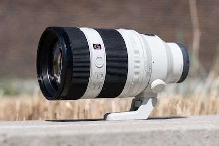 Le plein de lumière : le Sony FE 50-150 mm f/2 GM est exceptionnellement polyvalent si vous photographiez dans de mauvaises conditions lumineuses ou si vous recherchez des effets bokeh prononcés.