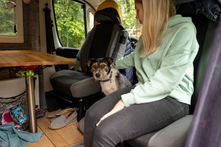 Ari adore passer son temps entre les sièges conducteur et passager ou dans sa tanière sous le lit.