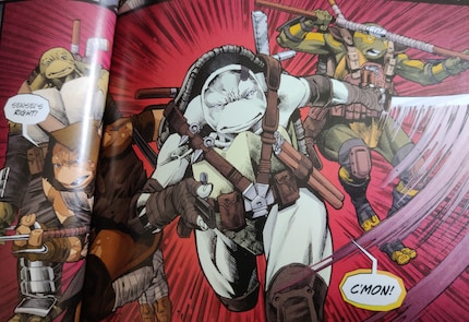 Dans *Re-Evolution*, les nouvelles Tortues Ninja prennent le relais.