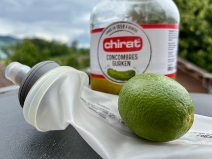 Should I add pickles and lime juice to my flask this time?