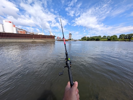 En plein milieu, au lieu d'un simple circuit touristique : la pêche dans l'Elbe, au milieu du port.