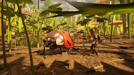 Une coccinelle, vieille connaissance de « Grounded 1 ».