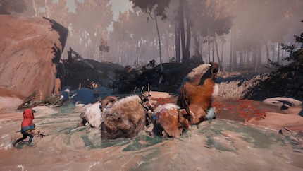 The Calicorns look unique, but their fur often feels like a graphical error.