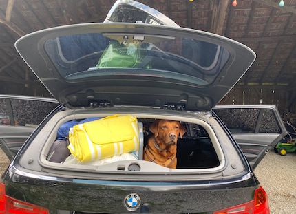 ...and off we go with everything but the kitchen sink.