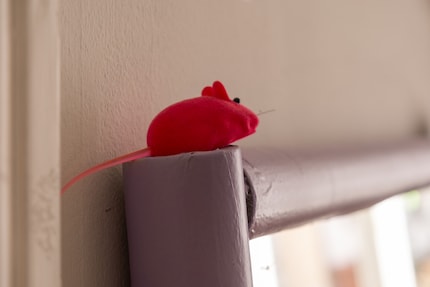 Un cadre peut allier décoration et fonctionnalité.