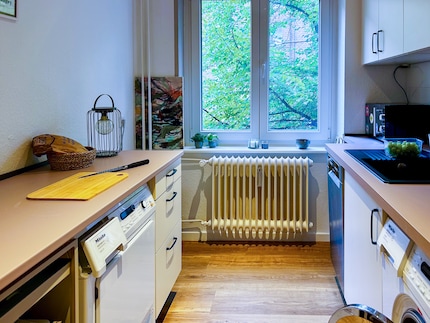 I hired someone to install and paint the worktop. I did the small stuff myself.
