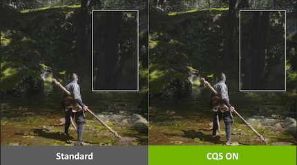 Among other things, CQS is supposed to ensure less fuzzy textures in the shadows. You can’t really see this in comparison pictures, though. I can see the difference live, but it’s subtle.