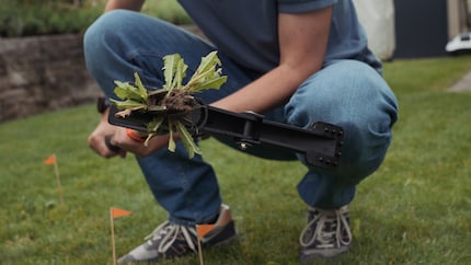 The results with the Siena Garden tool