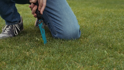 Almost minimally invasive: getting to the root of a dandelion with a Gardena weed puller.