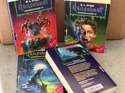 The Goosebumps novels are horror stories for children and were also my introduction to this genre.