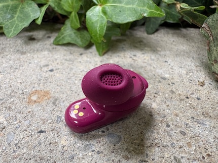 Les embouts sont relativement grands et offrent une grille de protection contre le cérumen.