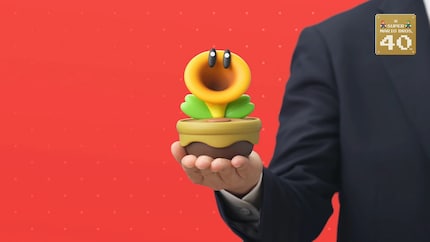 What the flower will be talking about?