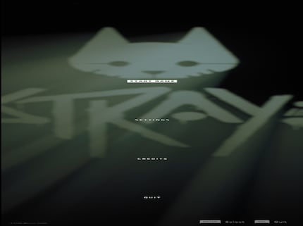 Affichage déformé de « Stray ».