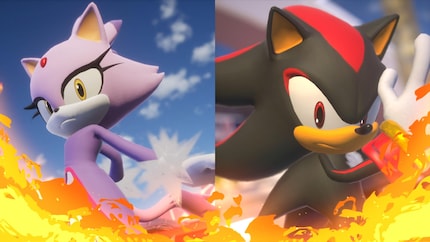 Blaze et Shadow ne sont qu'un des nombreux couples de rivaux possibles.