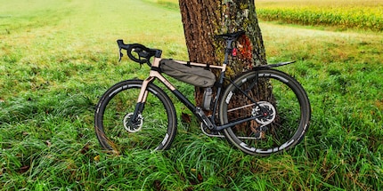 Le loup parmi les pneus gravel de Zleen sur le nouveau vélo de course de Bixs.