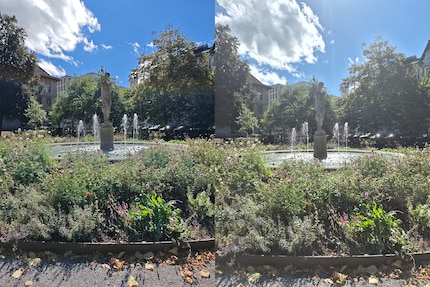 Samsung on the right makes the images a little washed out at first glance. I like the details better.