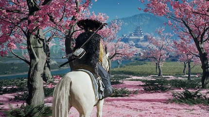 The game almost always looks like a work of art. However, this merely clouds a fairly average open world.