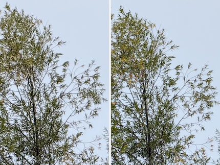 The 8x telephoto camera’s (right) dedicated image pipeline gets a bit more out of the sensor than this simple Photoshop crop of an image taken by the 4x telephoto camera (left).