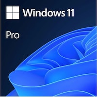 Microsoft Windows 11 Pro (Illimité)