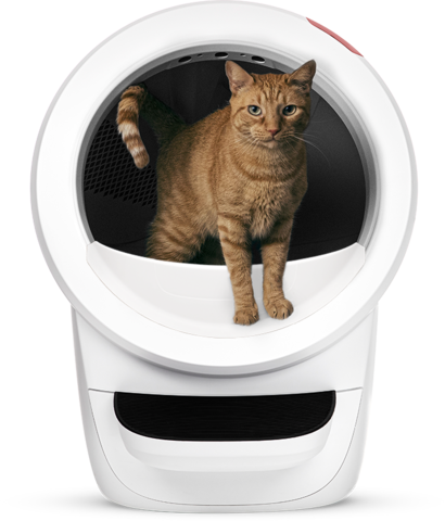 Cat robot toilet outlet