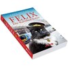 Felix - The station cat (Kate Moore, German)