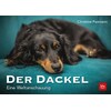 The dachshund (Christine Paxmann, German)