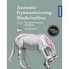 Kosmos Anatomie, gymnastique, développement musculaire (Gillian Higgins, Allemand)