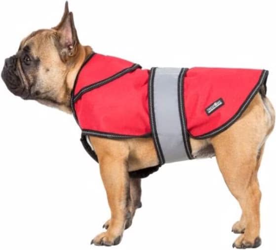 Trespass DUKE X 2-IN-1 Dog Vest buy at Galaxus